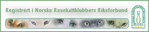 Norsk Rasekatt forbund sin
hjemmeside