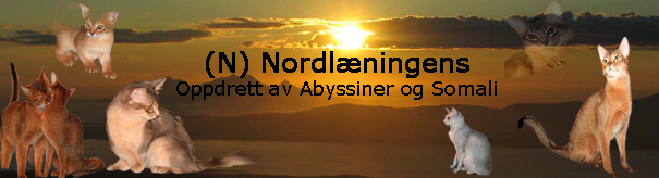 (N) Nordlæningen's