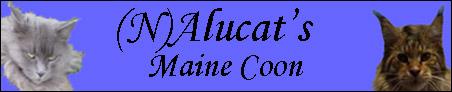 (N)Alucat's Maine Coon Oppdrett