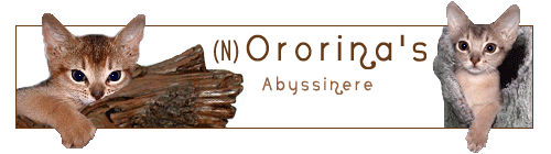 Ororina - Anne Marit Jerpstad's
abyssineroppdrett