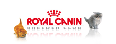 Hjemmesiden til
Royal Canin