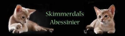 Hjemmesiden til 
S* Skimmerdal's Abyssineroppdrett